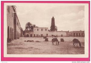 ALGERIE  1231  OUARGLA  Sur la place centrale