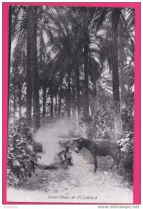 ALGERIE  1223    Dans l'Oasis de OUARGLA