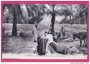 ALGERIE  1221    OUARGLA  Ravitaillement en eau à la Fontaine