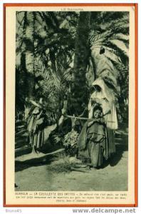 CPA-ANIMEE-OUARGLA - LA CUEILLETTE DES DATTES -  (J 856)