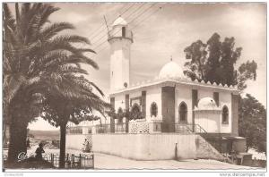 SAIDA (ALGERIE) La Mosquée    CPSM