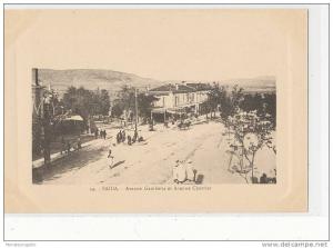 ALGERIE )) SAIDA   Avenue Gambetta    N° 24 edit Motz