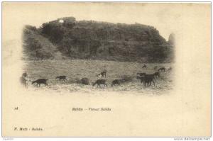 Saida Vieux Saida Troupeau de chèvres   Recto Verso