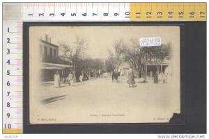 VA2433     ALGERIA    SAIDA  AVENUE  GAMBETTA  ASINI  COSTUMI   FOLKLORISTICI FOLCLORISTICI