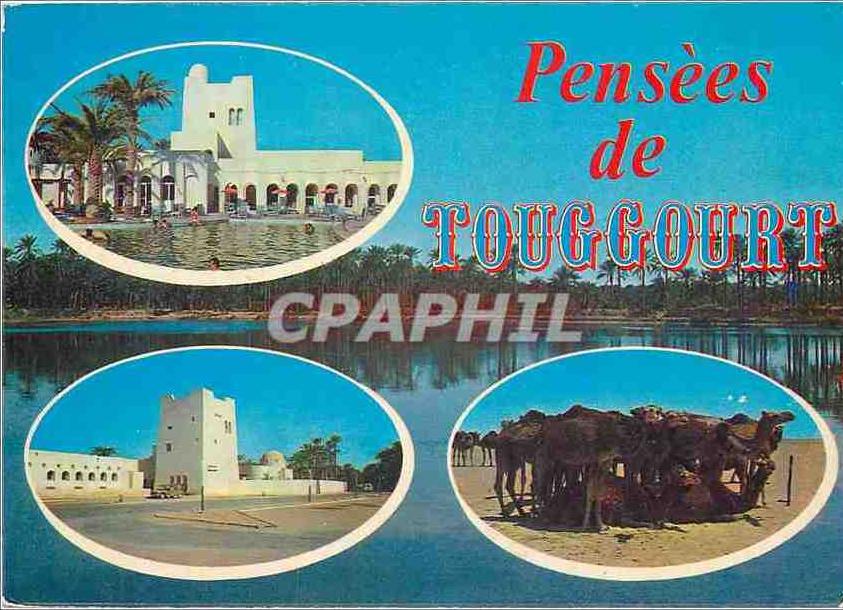 CPM Souvenir de Touggourt
