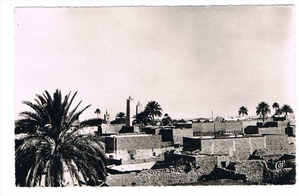 Algérie - Ouargla - Vue générale --