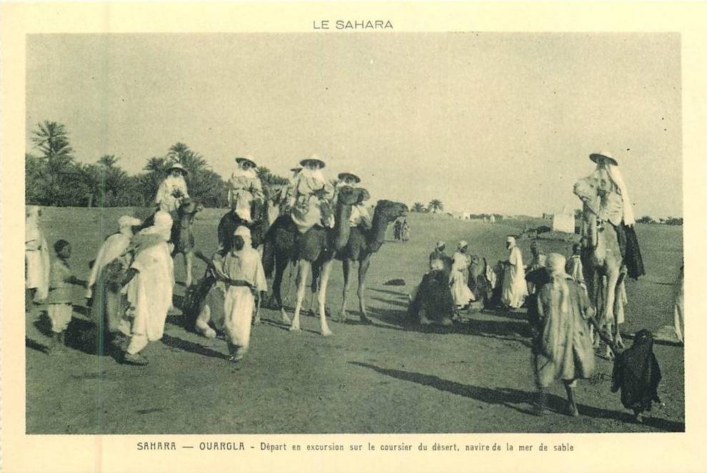 ALGERIE 143 - CPA SAHARA OUARGLA départ d'une excursion sur le coursier du désert  belle carte