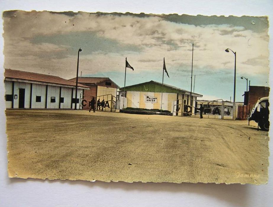 cpsm, carte photo, très belle vue animée, Ouargla Hassi Messaoud, base C.F.P., maison verte