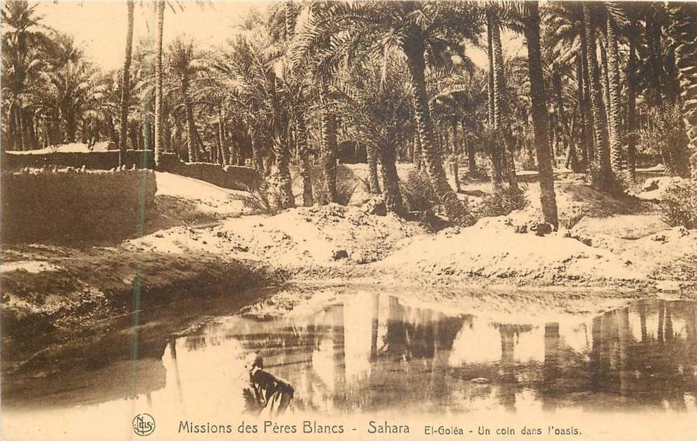 ALGERIE 97 CPA  ouargla sahara el goléa   un coin dans l'oasis     animation belle carte