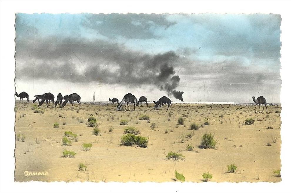 cp, Algérie, Ouargla, Anachronisme aux Environs de la Base C.F.P