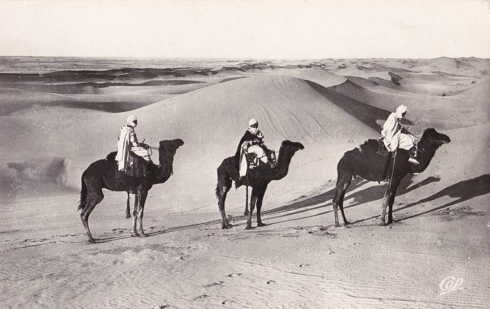 Carte postale photo Ouargla algérie chamelliers dans les dunes de sables circulé édit Bouafia ali ben sedouk