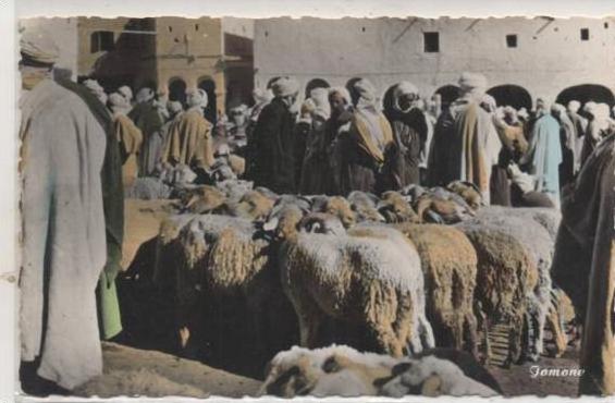 1213 A OUARGLA  LE MARCHE AU SOUK