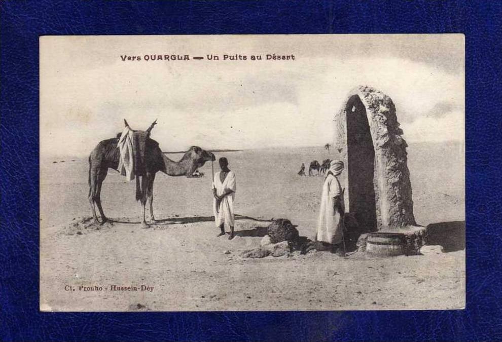 ALGERIE / ALGERIEN     Vers Quargla Un Puits au Desert