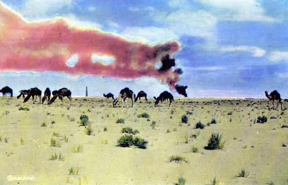 OUARGLA Anachronisme aux environs de la Base C.F.P.