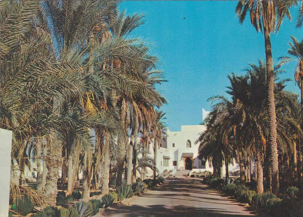 algerie,AFRIQUE,AFRIKA,AF RICA,MAGHREB,TOUGGOURT,OU ARGLA,OASIS  du nord,SAHARA,hotel transatlantique,route ancienne