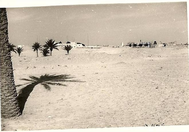 24sc   ALGERIE OUARGLA PHOTO ORIGINALE