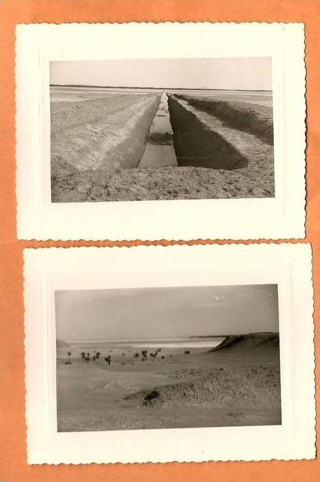 24sc   ALGERIE OUARGLA LOT DE 2 PHOTOS ORIGINALES