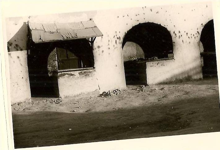 24sc   ALGERIE OUARGLA PHOTO ORIGINALE LES BOUCHERIES