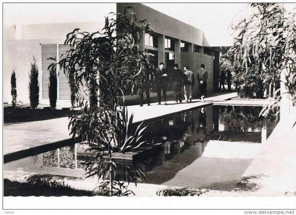 HASSI - MESSAOUD  C.F.P.  JARDINS  ET  BASSINS  AUX  ABORDS  DU  BAR  -  ANIMATION  -  PHOTO  -  FG