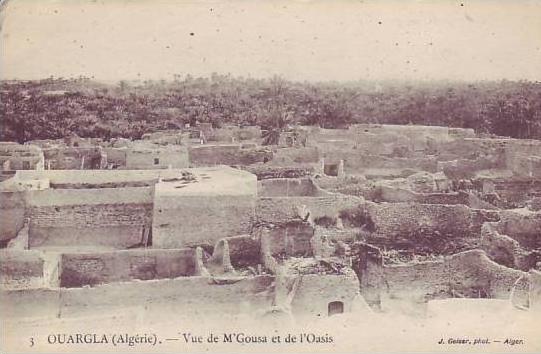 ALGERIE - OUARGLA - vue de M´gousa et de l´oasis - nr 3 geiser alger - d3 613