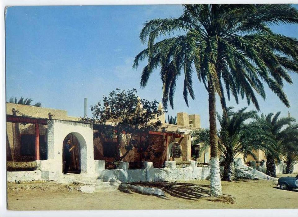 Algérie--OUARGLA--L´Hotel    (voiture ,palmier),cpm n° M 282 éd  SNED