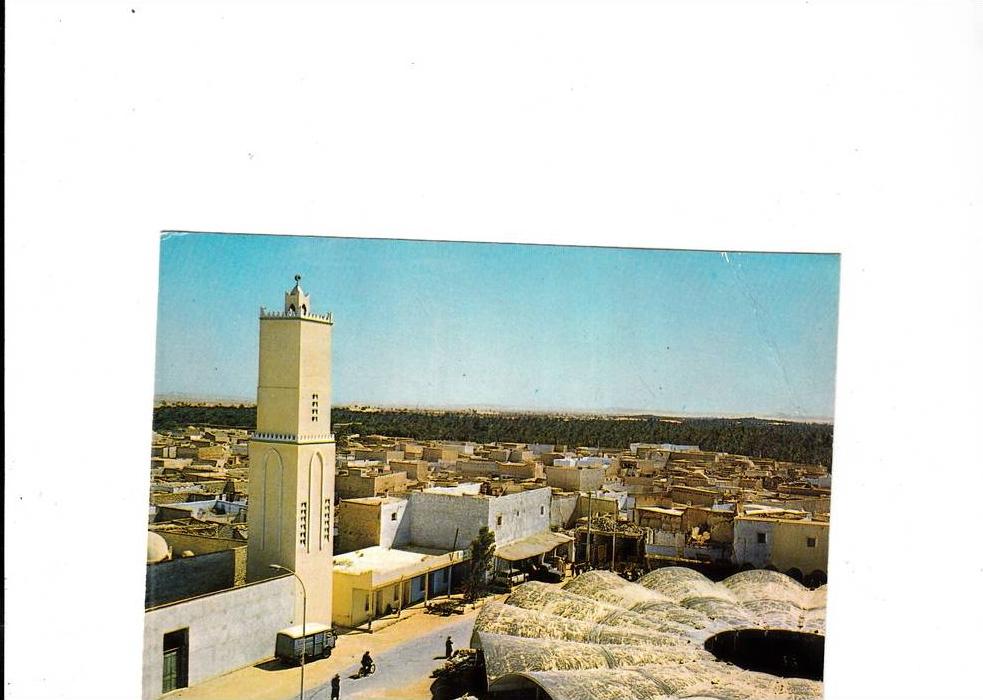 B44462 Algerie Ouargla vue generale used perfect shape