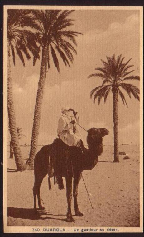 Ouargla - Un Guetteur au Désert