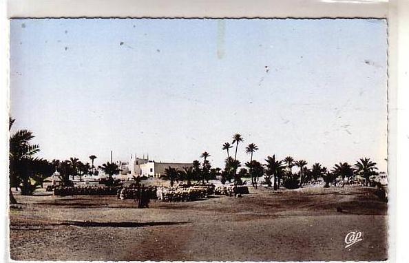 Algérie - OUAGLA - Jardins de l'Hôtel S. A. T. T.  -  tas de rondind de bois ? - CPSM Cap n° 1538 cliché peu courant