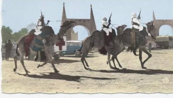 AFRIQUE  /  ALGERIE  /  OUARGLA     