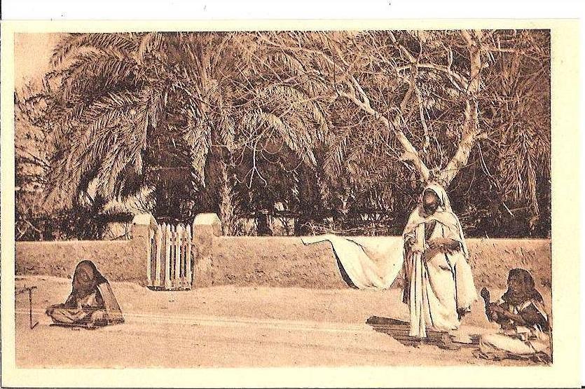 OUARGLA - Préparation d'une Trame. (Métier)