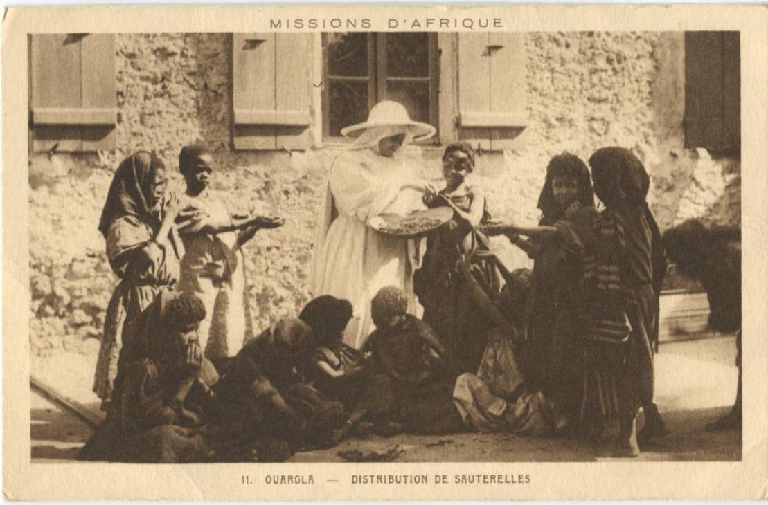 ALGERIE OUARGLA Distribution sauterelles Mission Afriq