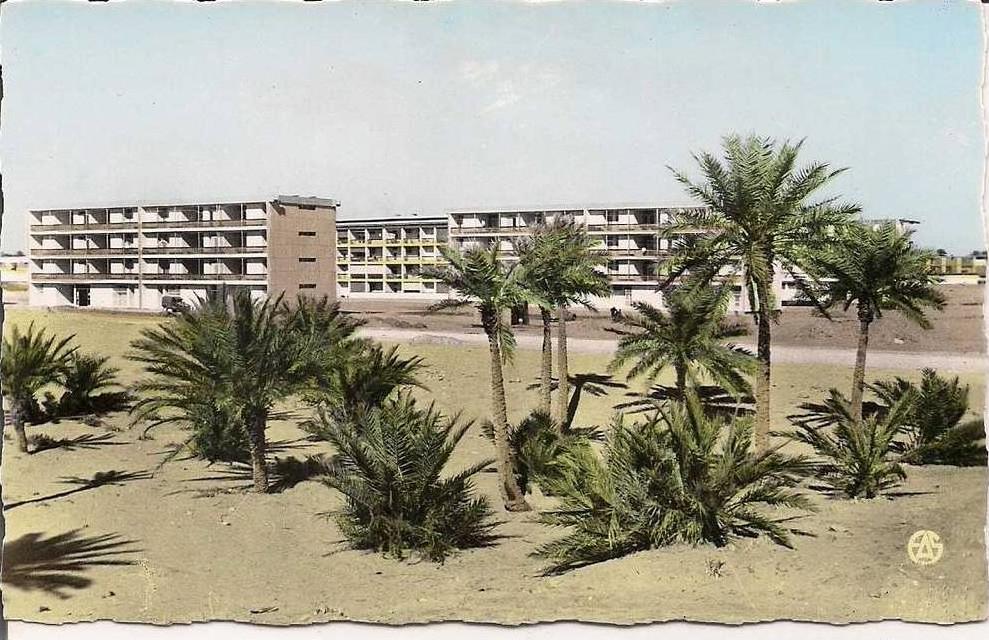 CPSM  -  Algérie  -   OUARGLA  -   Cité Sélis -