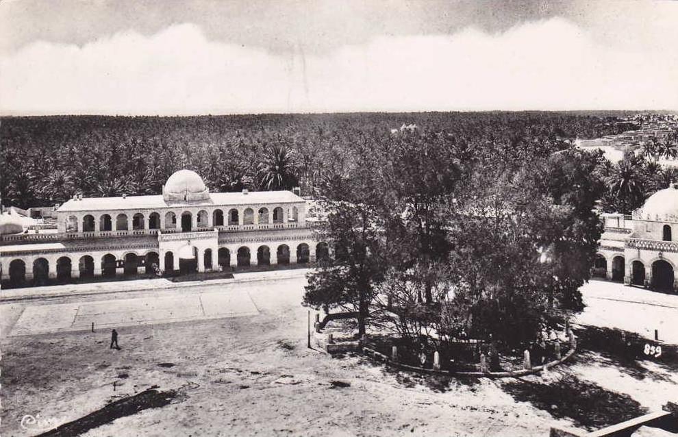 AFRIQUE,AFRIKA,AFRICA,MAG HREB,TOUGGOURT,OUARGLA,oa sis,sahara,bureau arabe,rare