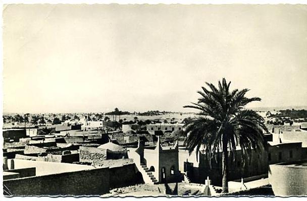 cpsm OUARGLA (Algérie) vue générale