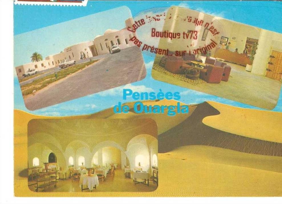 cpG843 - Pensées de OUARGLA - (Algérie)