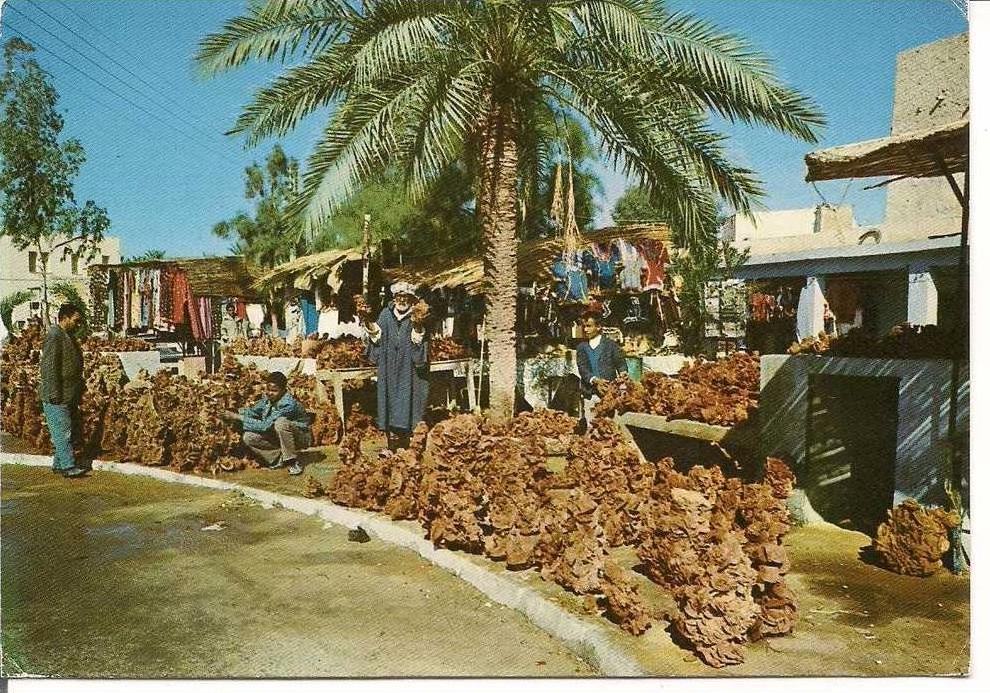 CPSM  -  Algérie  -   OUARGLA  -  Place du Marché -