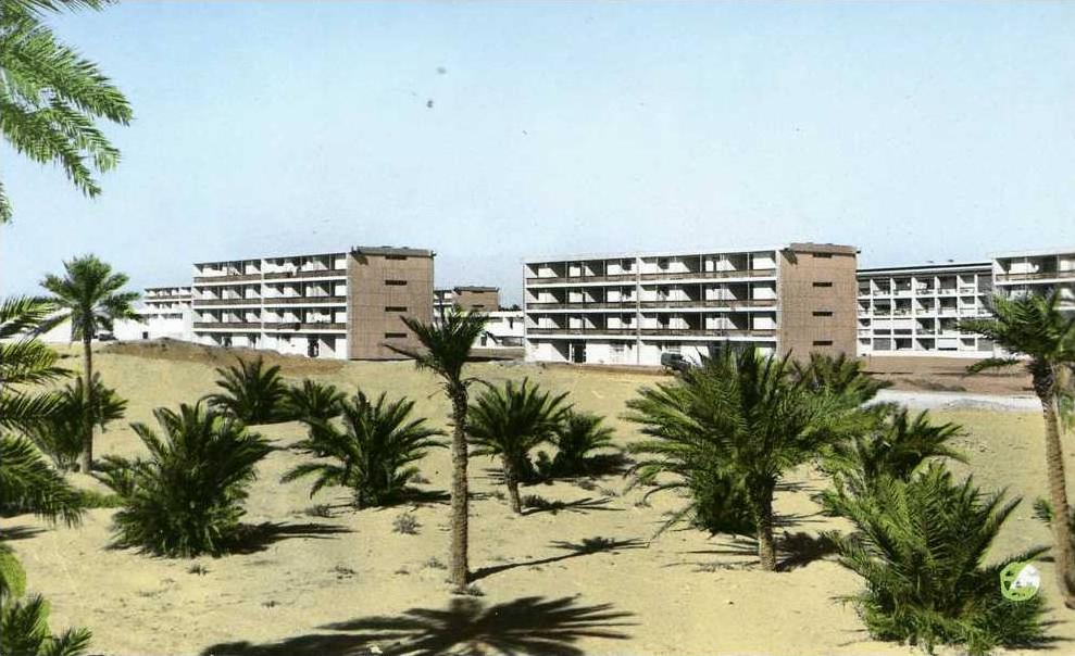 OUARGLA...LA CITE SELIS....CPSM PETIT FORMAT