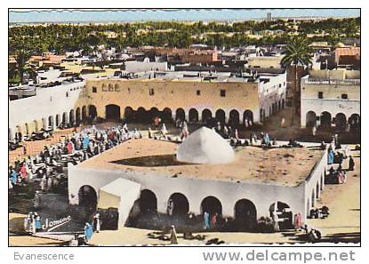 OUARGLA / LA GRAND PLACE  / TOUGGOURT    //  REF15404