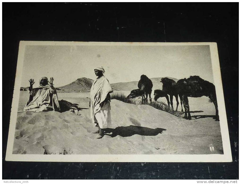 OUARGLA - LA PRIERE DANS LE DESERT - AFRIQUE ALGERIE