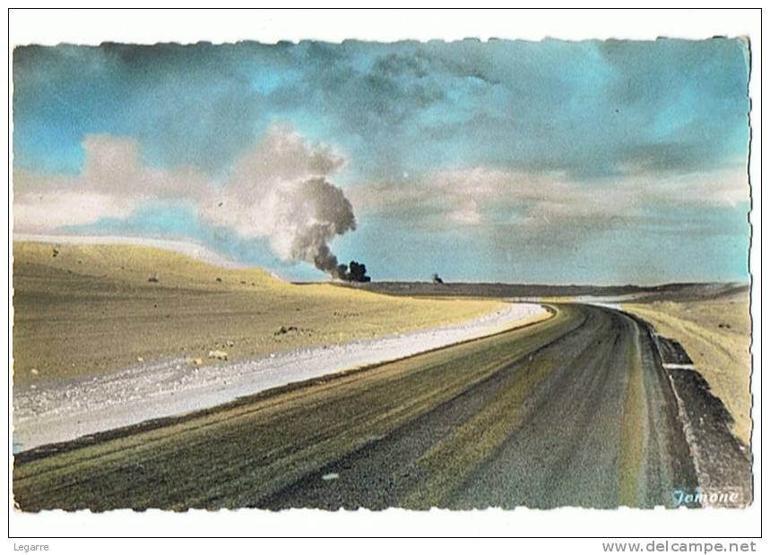 ALGERIE - OUARGLA - (Hassi-Messaoud ) Route de Ouargla à Maison Verte .