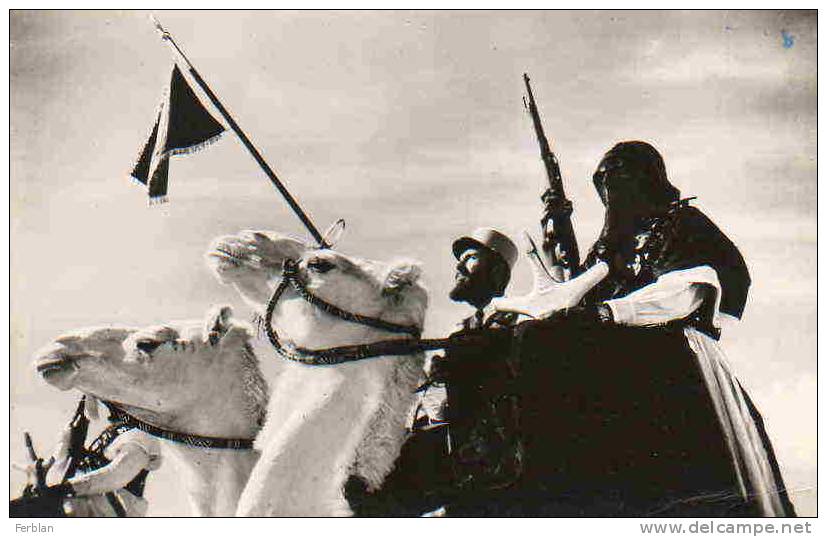 AFRIQUE. ALGERIE. OUARGLA. Méharistes, Police des Confins du Sud. Carte Dentelée.