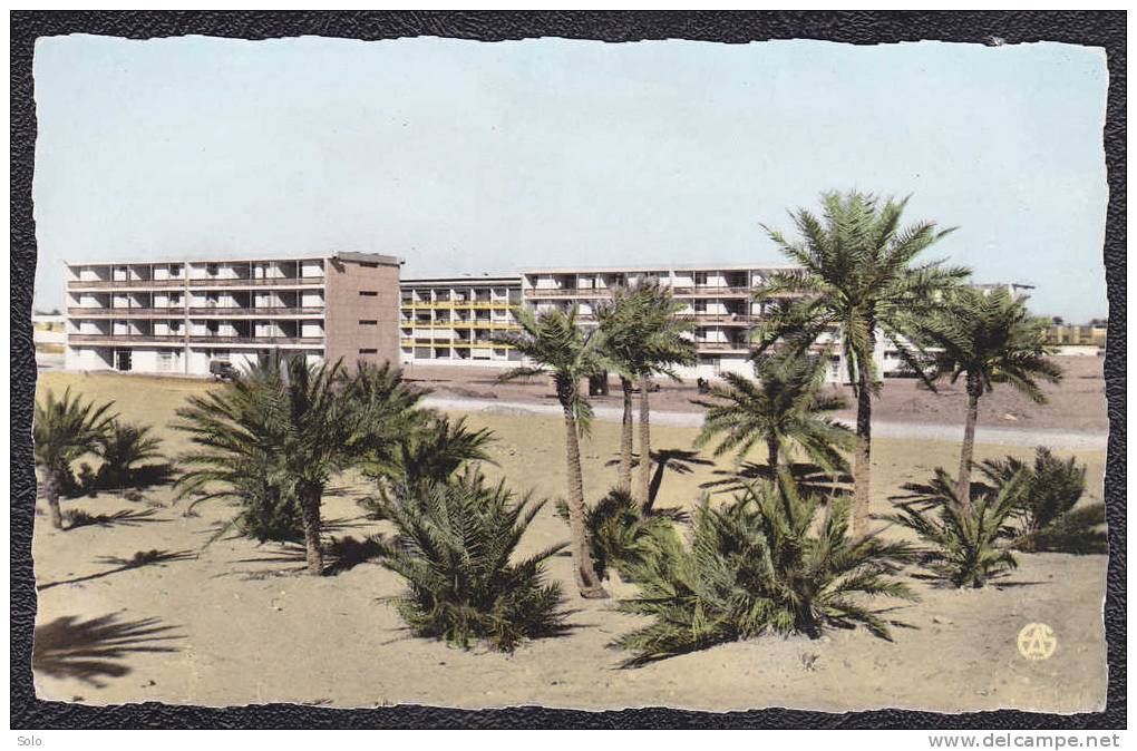 OUARGLA - Cité Selis