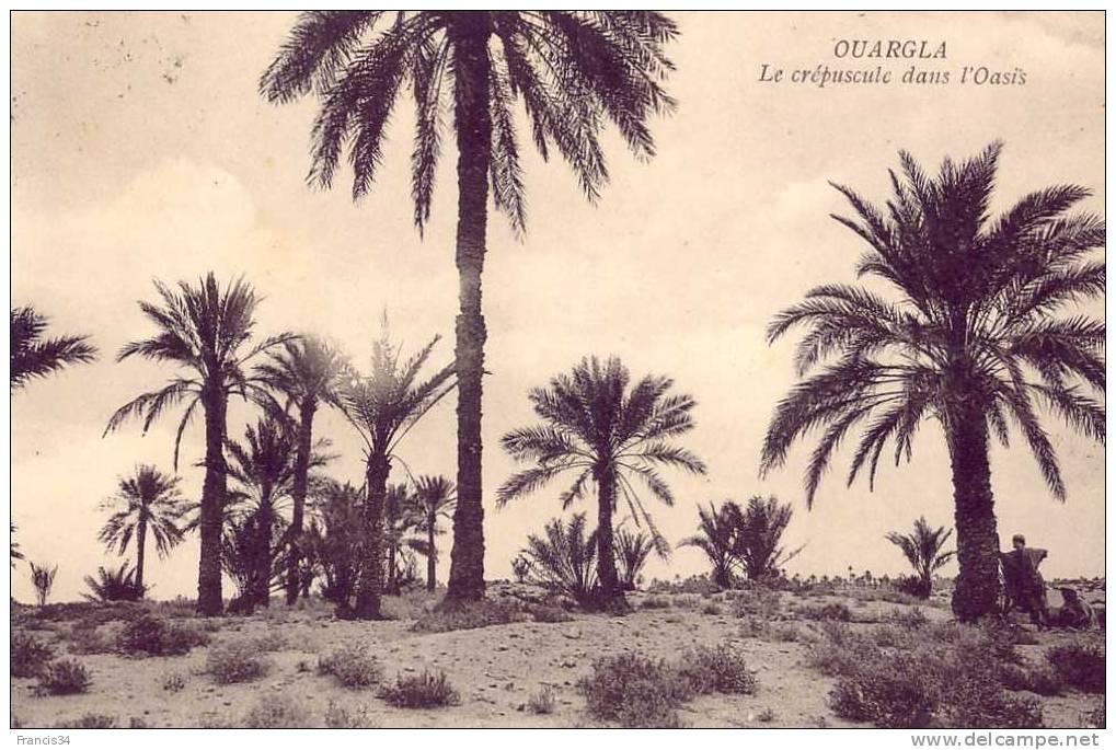CPA - Ouargla - Le crépuscule dans l'oasis