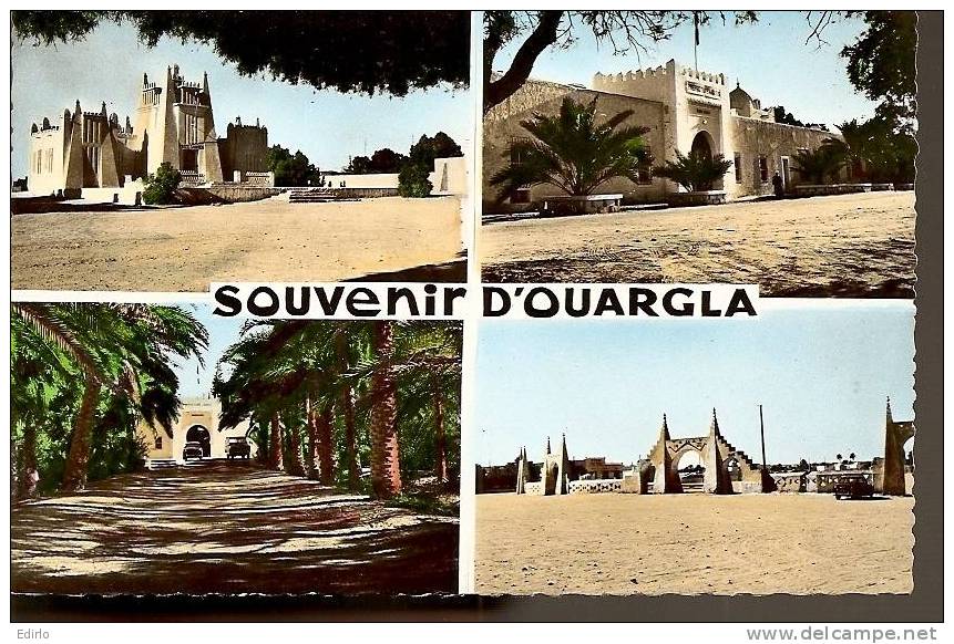 - ALGER - Souvenir D´ouargla - carte neuve excellent état