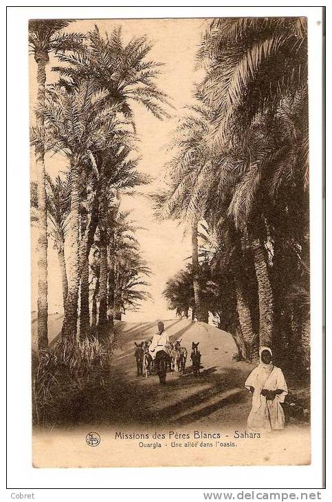 OUARGLA - Missions des pères blancs - Sahara, une allée dans l´Oasis