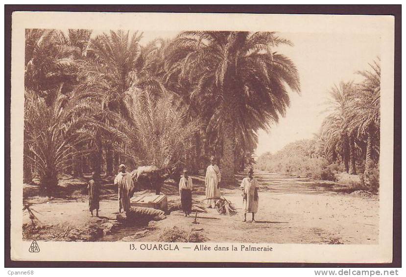 OUARGLA - Allée dans la Palmeraie