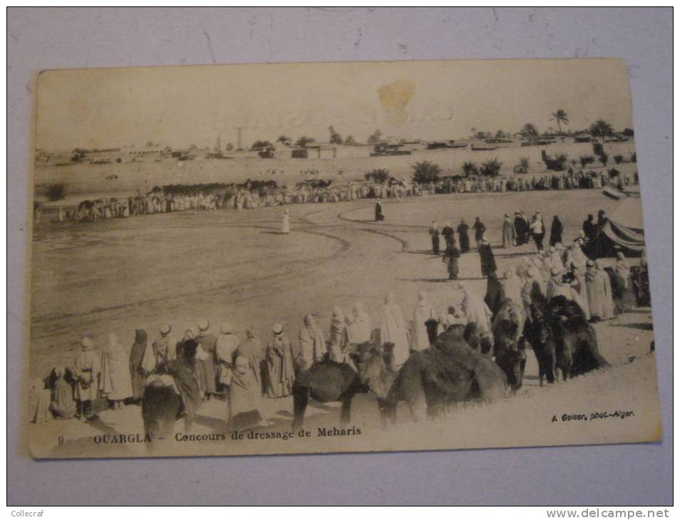 CPA  (algerie) OUARGLA  concours de dressage de meharis -No 9 -I.Geiser photo,alger  -ANIME