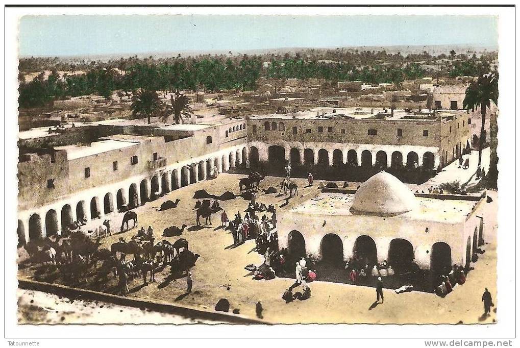 CPSM Ouargla (Oasis) . Place du Marché