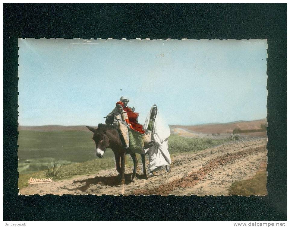 Algerie - Ouargla ( Territoire de Touggourt ) Rencontre sur la Piste ( animée âne ou mulet    JOMONE 1250 A format CPA)