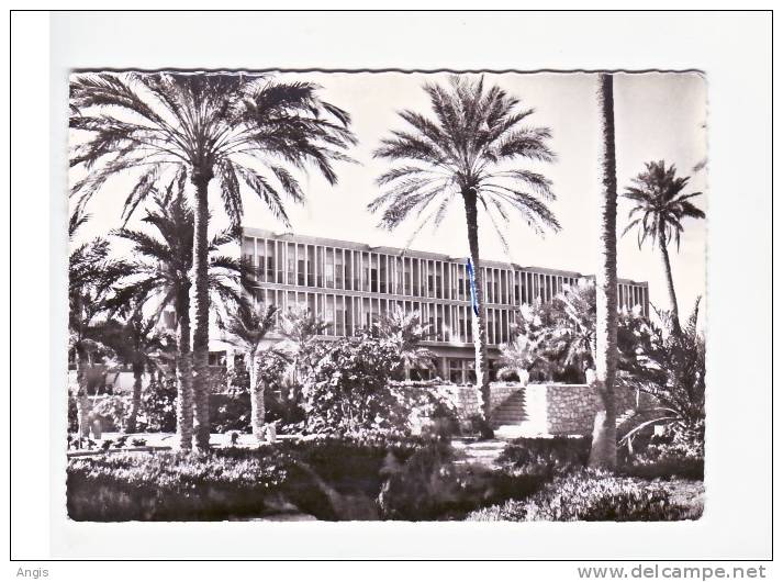 CM---  Afrique >  Algérie ----OUARGLA----HOTEL TRANSATLANTIQUE